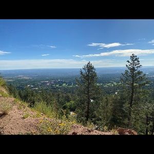 Meet your Posher, Ella